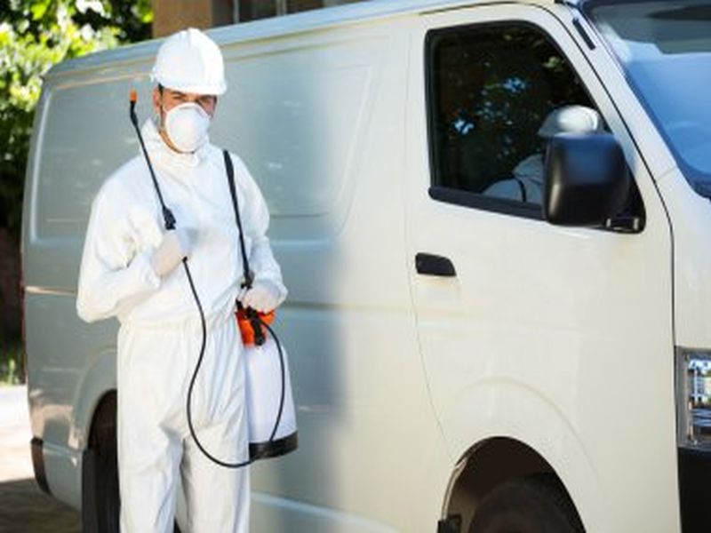 Sydney Pest Control: The Importance of Proper Drainage in Pest Prevention